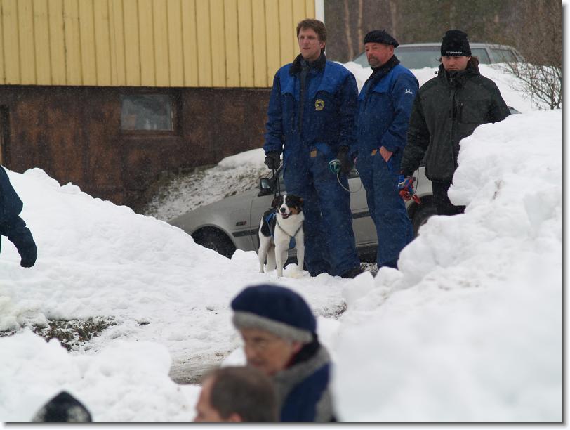 Nästa bild